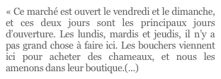 « Ce marché est ouvert le vendredi et le dimanche, et ces deux jours sont les principaux jours d’ouverture. Les lundis, mardis et jeudis, il n’y a pas grand chose à faire ici. Les bouchers viennent ici pour acheter des chameaux, et nous les amenons dans leur boutique.(...)